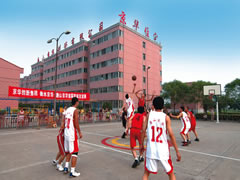 The basketball jingytatch